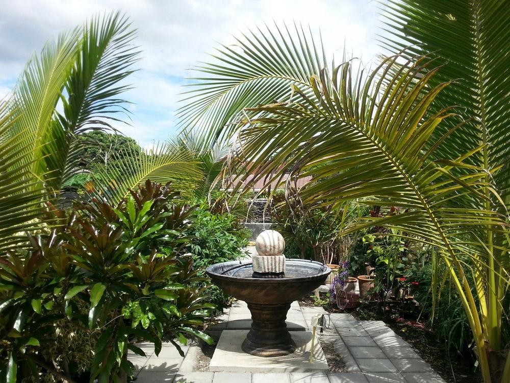 Donchai House Guest House& Cafe Chiang Mai Exterior photo